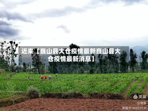 近来【巍山县大仓疫情最新巍山县大仓疫情最新消息】-第3张图片