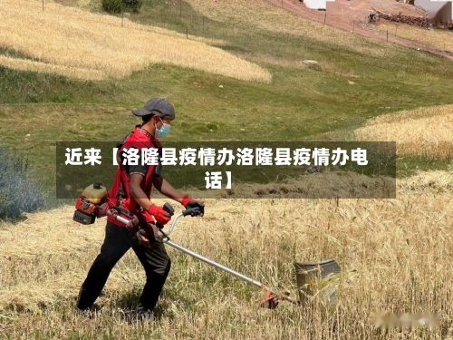 近来【洛隆县疫情办洛隆县疫情办电话】-第2张图片