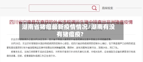 湖南省猪瘟最新疫情情况/湖南有没有猪瘟疫?-第3张图片