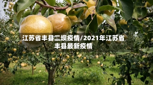 江苏省丰县二坝疫情/2021年江苏省丰县最新疫情-第2张图片