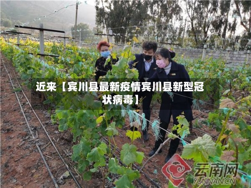 近来【宾川县最新疫情宾川县新型冠状病毒】-第3张图片