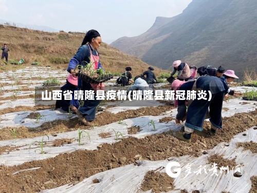 山西省晴隆县疫情(晴隆县新冠肺炎)-第1张图片