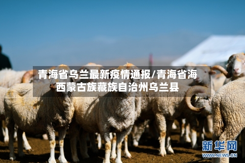 青海省乌兰最新疫情通报/青海省海西蒙古族藏族自治州乌兰县-第3张图片