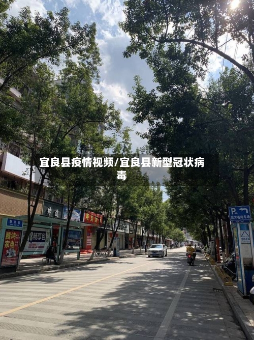 宜良县疫情视频/宜良县新型冠状病毒-第1张图片