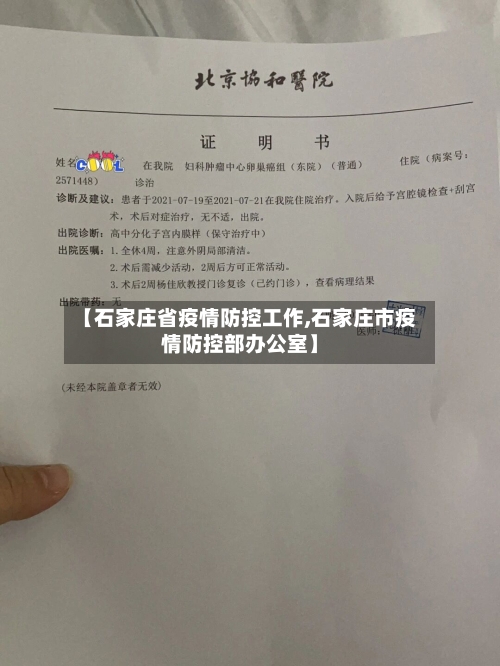 【石家庄省疫情防控工作,石家庄市疫情防控部办公室】-第2张图片
