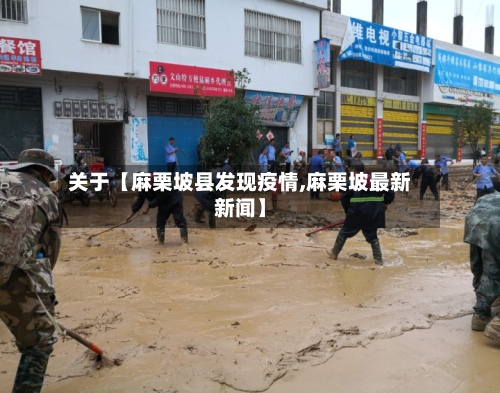 关于【麻栗坡县发现疫情,麻栗坡最新新闻】-第2张图片