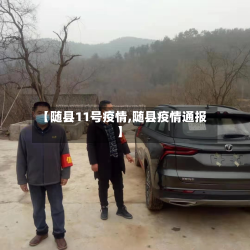 【随县11号疫情,随县疫情通报】-第1张图片