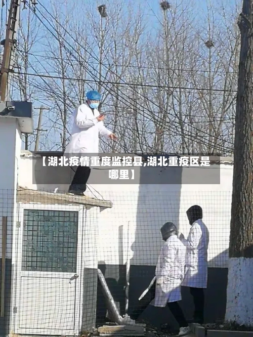 【湖北疫情重度监控县,湖北重疫区是哪里】-第1张图片