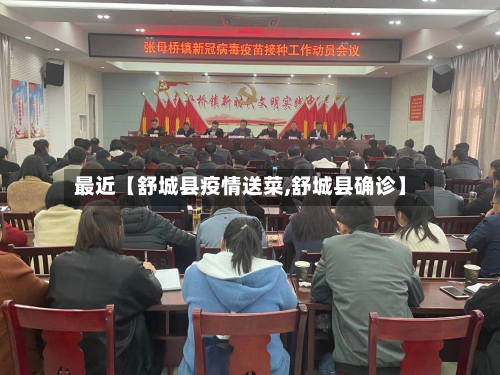 最近【舒城县疫情送菜,舒城县确诊】-第1张图片