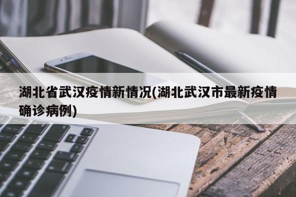 湖北省武汉疫情新情况(湖北武汉市最新疫情确诊病例)